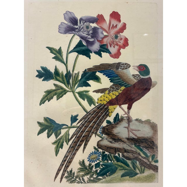 Late 20th Century Pair of Vintage Chinoiserie Pheasant & Floral Botanical Prints in Black & Gold Frames For Sale - Image 5 of 9