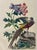 Late 20th Century Pair of Vintage Chinoiserie Pheasant & Floral Botanical Prints in Black & Gold Frames For Sale - Image 5 of 9