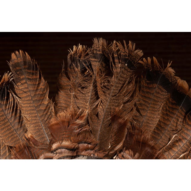 Full-Body Wild Turkey Taxidermy Mount in Strutting Display For Sale - Image 9 of 9