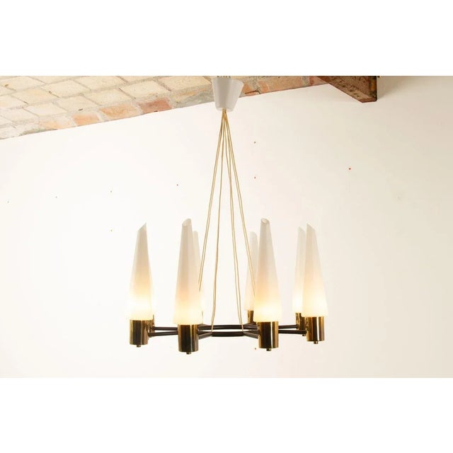 Metal Mid-Century Modern Brass Pendant Lamp with Opal Glass Shades, 1960s For Sale - Image 7 of 18