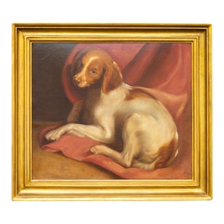 American 1890s Framed Oil on Board Painting Depicting a Dog Lying on a Red Drape For Sale