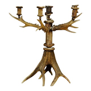 Large Five Armed Cabin Decor Antler Candelabra 1880 For Sale