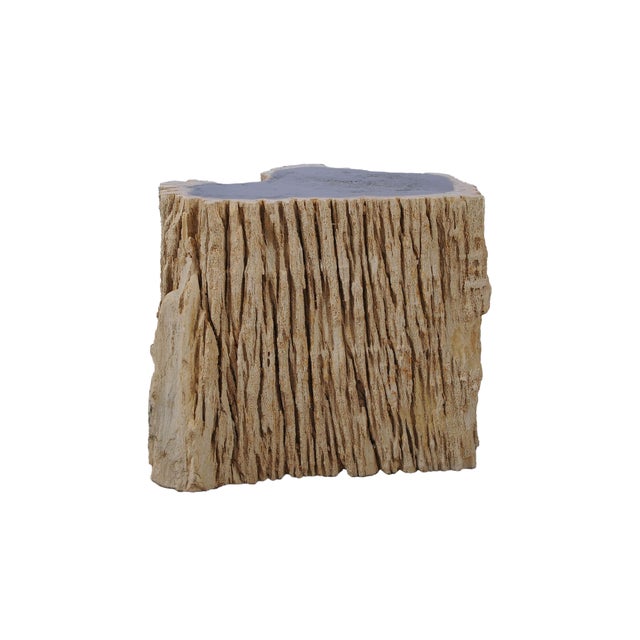 Early 21st Century Petrified Wood Side Table by Xyleia Petrified Wood For Sale - Image 5 of 6