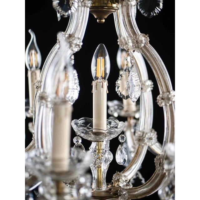 Crystal Theresian Chandelier with 9 Bulbs For Sale - Image 3 of 8