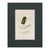 Set of 6 Antique Hand-Colored Sowerby Seaweed & Marine Algae Botanical Prints For Sale In Columbus - Image 6 of 8