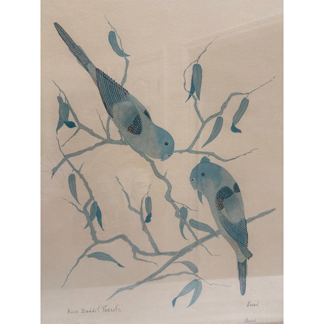 Farmhouse Large Vintage Framed “Blue Bonnet” Parrots Framed Fine Art Print For Sale - Image 3 of 8