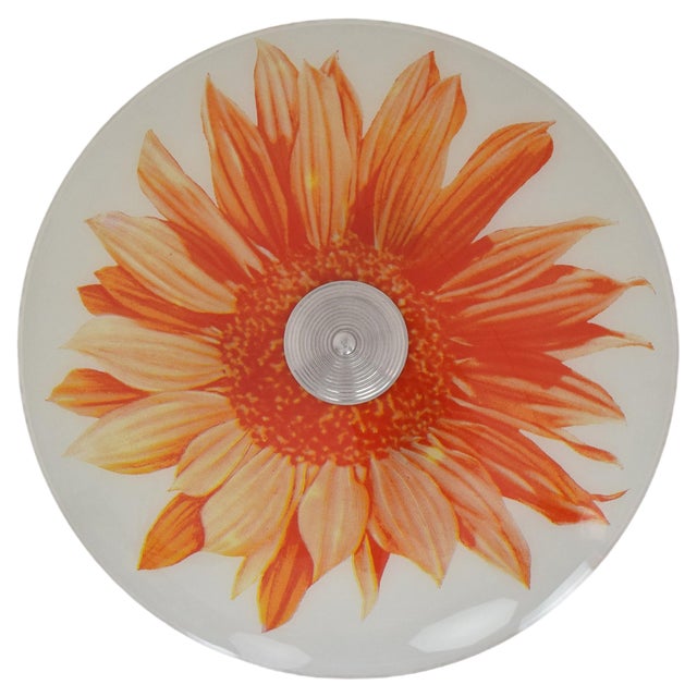 Mid-Century Glass Pendant, 1960s For Sale