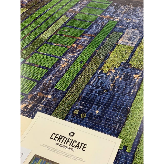 "AV_California_Plants_010" Contemporary Limited Edition Fine Art Photograph by Bernhard Lang For Sale - Image 4 of 4