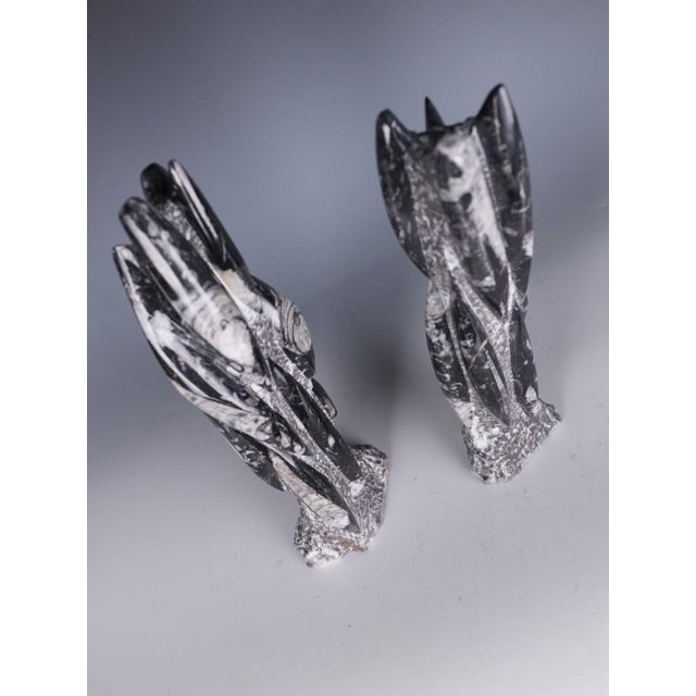 Hand-Carved Orthoceras Fossil Sculptures in Black Limestone, Morocco, Set of 2 For Sale - Image 4 of 15