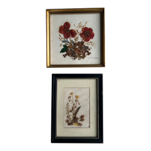 Vintage Pressed Botanical Flower