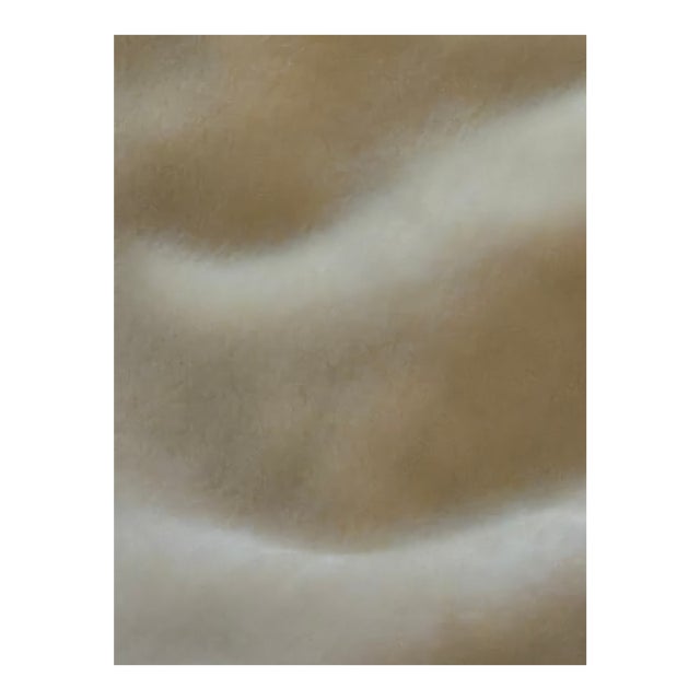 Fawn Beige Imported Belgium Vintage Mohair Velvet 2.8 Yards For Sale