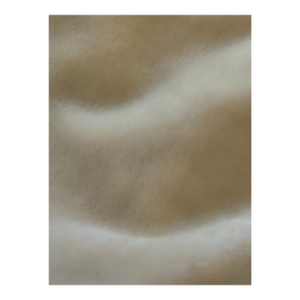 Fawn Beige Imported Belgium Vintage Mohair Velvet 2.8 Yards