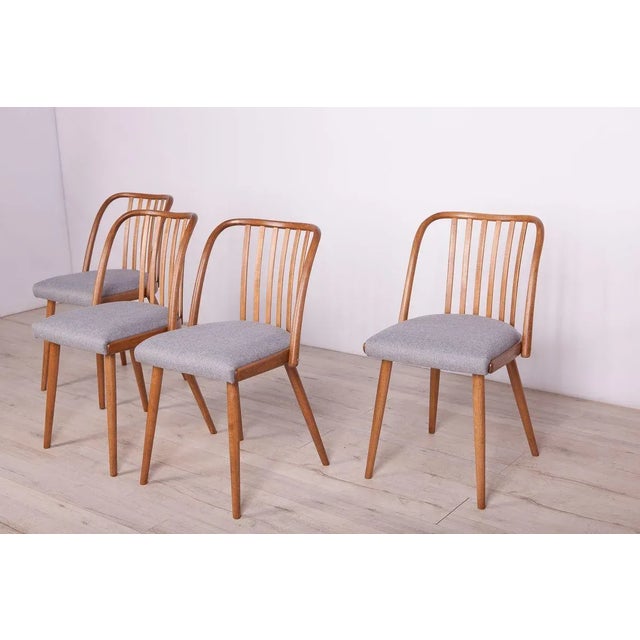 Dining Chairs by Antonín Šuman for Ton, 1960s, Set of 4 For Sale - Image 6 of 18