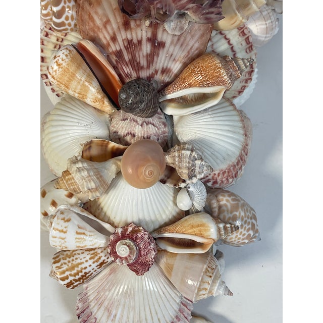Coastal 1970s Fabulous Coastal Sea Shell Encrusted Wall Bracket For Sale - Image 3 of 5