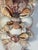Coastal 1970s Fabulous Coastal Sea Shell Encrusted Wall Bracket For Sale - Image 3 of 5