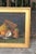 English Signed Elinor Jones 1908 Oil on Canvas Still-Life Painting in Gilt Frame For Sale - Image 10 of 10