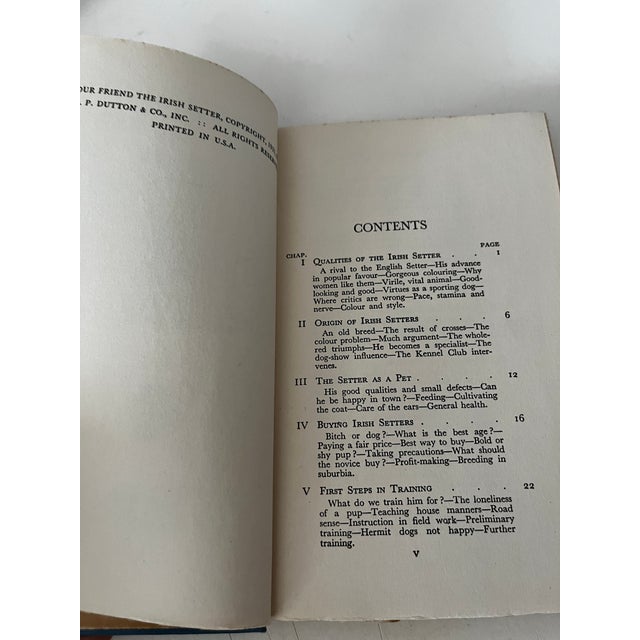 1930s 1933 Our Friend the Irish Setter Book For Sale - Image 5 of 6