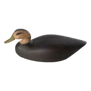 Duck Decoy For Sale