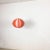 Hanging light Producer: Vest lights, Austria Origin: Austria Age: 1960s This 1960s hanging light was made by Vest Austria....