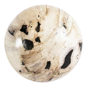 Vintage Petrified Wood Sphere Art