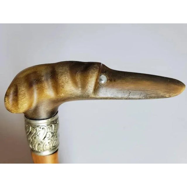 An interesting and fairly unusual figural Italian greyhound carved horn, knotty wood makila walking stick / cane....