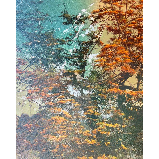 Silk Oak is a quiet, painterly photograph inspired by the tactile beauty of vintage botanical illustrations. With softly...