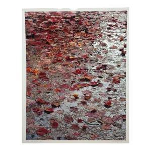 Original John Wawrzonek 'leaves on Water' Autumn Red Landscape Signed Photograph
