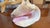 Shell Large Conch Shell 7" X 8"" Nautical Decor Sea Shell Ocean Beach Pink White. For Sale - Image 7 of 16