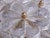 Vintage Wall Sconces in Crystal and Brass by Ernst Palme, Germany, 1960, Set of 4 For Sale - Image 16 of 18