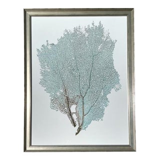 Vintage Aboriginal Coral Fan Print For Sale
