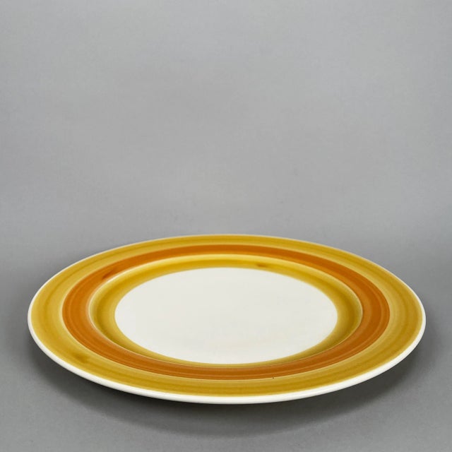 Vintage 1970s Japanese Royal M Capri Charger & Serving Bowl Set - 2 Pieces For Sale - Image 4 of 13