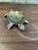 Gold Vintage Turtle Trinket Dish or Ashtray For Sale - Image 8 of 9