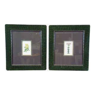 Pair of 19th Century Floral Colored Lithographs Botanical Register Framed 29" For Sale