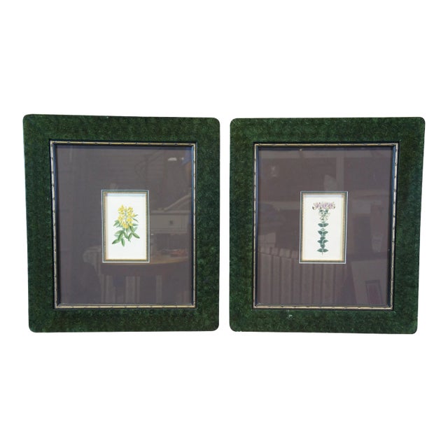 Pair of 19th Century Floral Colored Lithographs Botanical Register Framed 29" For Sale