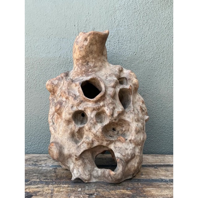 Tan Vintage Organic Wood Knot Sculpture For Sale - Image 8 of 12