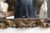 19th Century Italian Baroque-Style Giltwood Mirror For Sale - Image 4 of 6