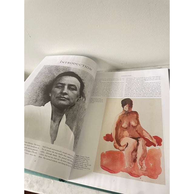 Abstract Georgia O’Keefe Hardcover Art Book 1990s For Sale - Image 3 of 4