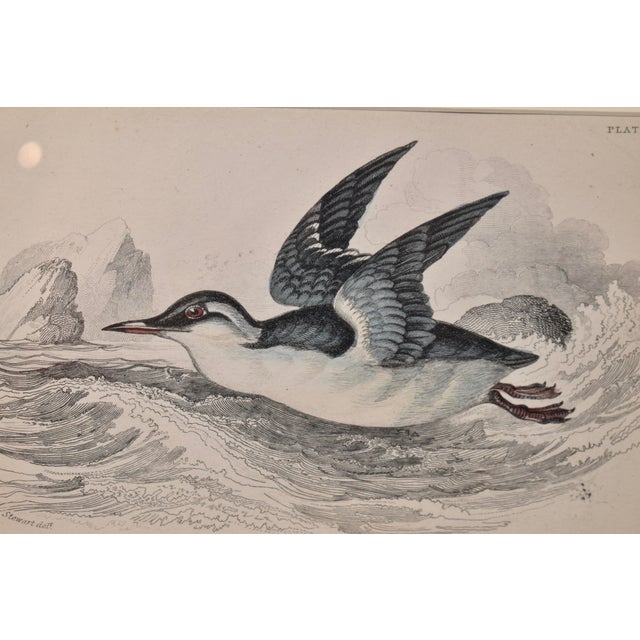 19th Century W.H.Lizars Framed Engraving For Sale - Image 4 of 7