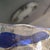 Red 1980s Luigi Serafini for Memphis Extra Signed Murano Glass Ashtray and Catchall For Sale - Image 8 of 13
