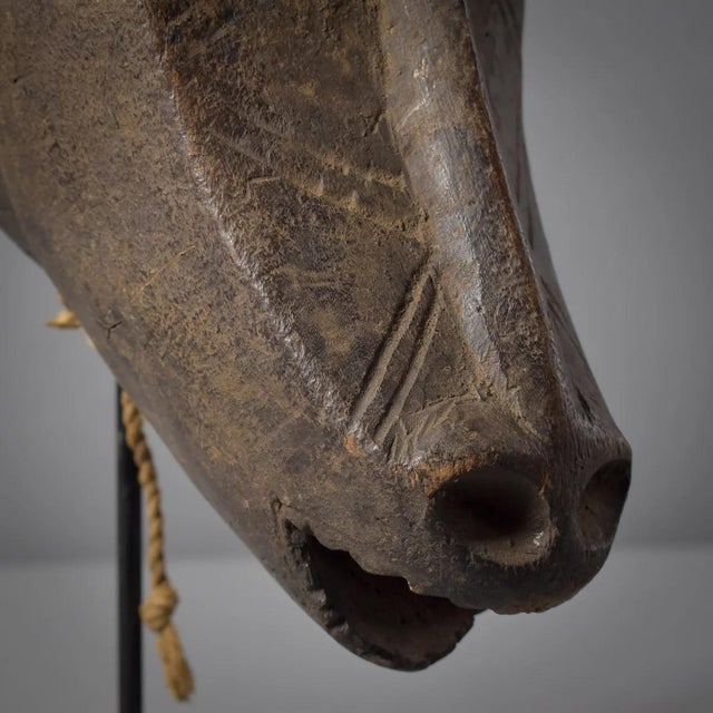 Early 20th Century Gurunsi Baboon Animalistic Mask Burkina Faso For Sale - Image 11 of 12