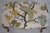 French French Louis XV Peacock Upholstered Seat Bench For Sale - Image 3 of 12