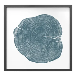 Stump 1 - Variation 5 by Trinette + Chris Print with Black Frame - 14 X 14
