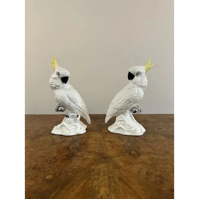 Mid-Century Cockatoos by T.J. Jones, 1950s, Set of 2 For Sale - Image 4 of 7