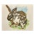 Elizabeth Berry Watercolor Painting of a Brown/White Rabbit For Sale