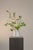 Contemporary Bay Window Floral Arrangement by Apartment 387 For Sale - Image 3 of 6
