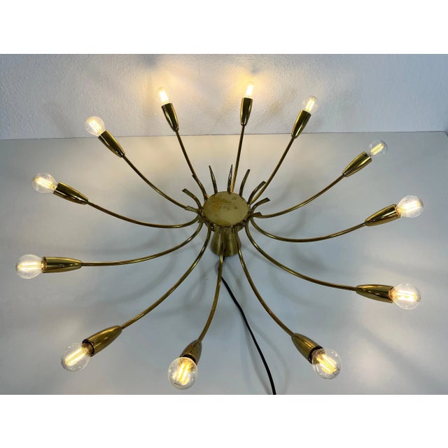 Brass 12-Arm Sputnik Chandelier Attributed to Arredoluce, 1950s For Sale - Image 12 of 13