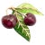 Tiffany and Co. Vintage Tiffany & Co. France Diamond Plique a Jour Glass Cherries Gold Brooch For Sale - Image 4 of 11