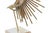 Curtis Jere 1970s Brutalist Curtis Jeré Bird in Flight Sculpture in Brass and Marble For Sale - Image 4 of 7
