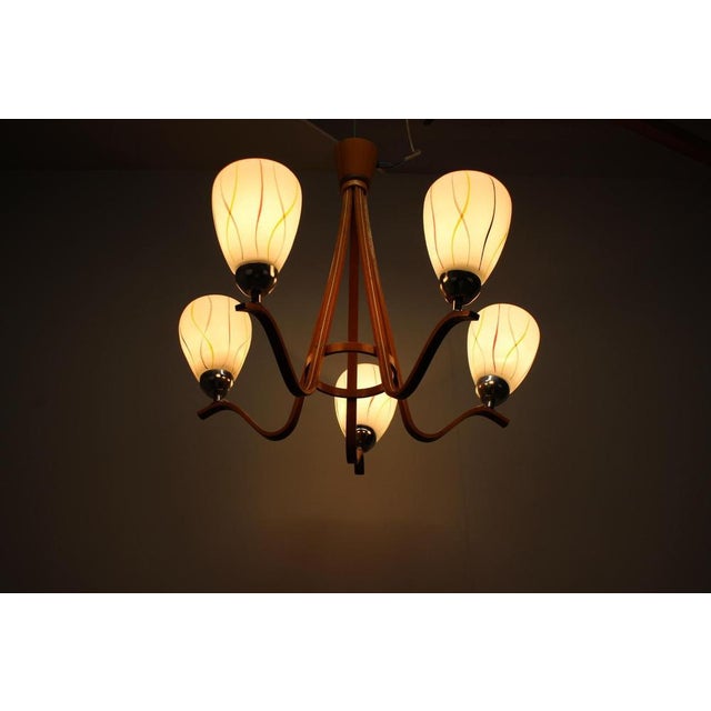 Mid-Century Wooden Chandelier with Glass Shades, Czechoslovakia, 1970s For Sale - Image 11 of 14