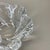 Large Floral Glass Shell Ashtray attributed to Orrefors, Sweden, 1970s For Sale - Image 8 of 17